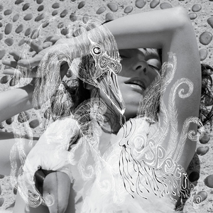 Björk_-_Vespertine_album_cover